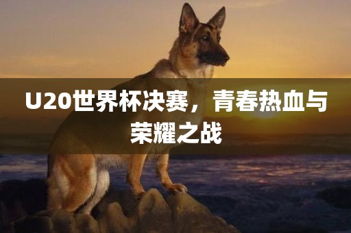 U20世界杯决赛，青春热血与荣耀之战