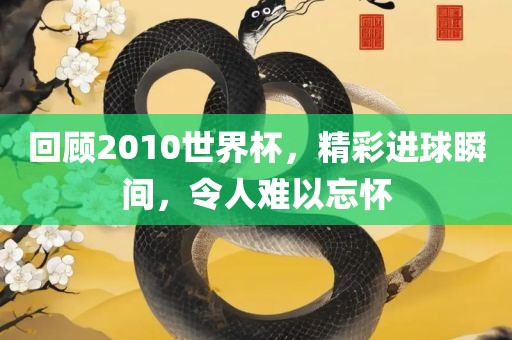 回顾2010世界杯，精彩进球瞬间，令人难以忘怀