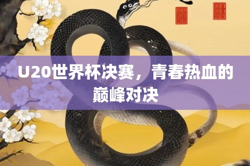 U20世界杯决赛，青漯河市盈旭机械设备有限公司春热血的巅峰对决
