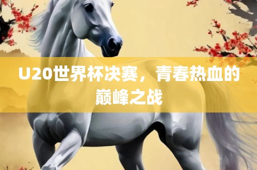 U20世界杯决赛，青春热血的巅峰之战