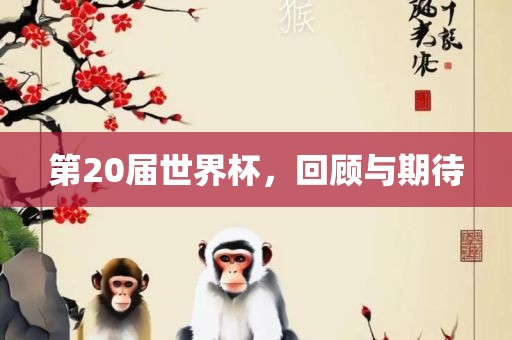 第20届世界杯，回顾与期待