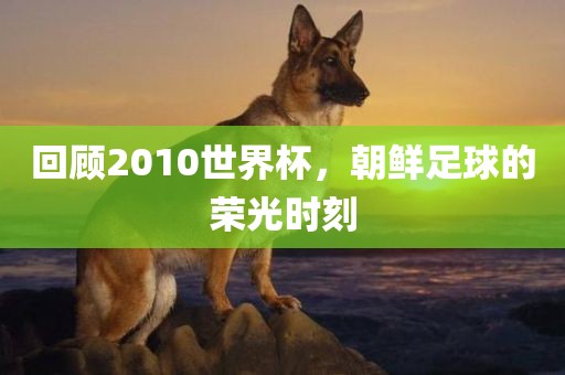 回顾2010世界杯，朝鲜足球的荣光时刻