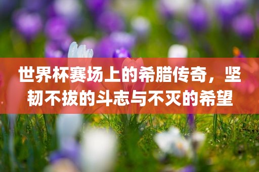 世界杯赛场上的希腊传奇，坚韧不拔的斗志与不灭的希望漯河市盈旭机械设备有限公司