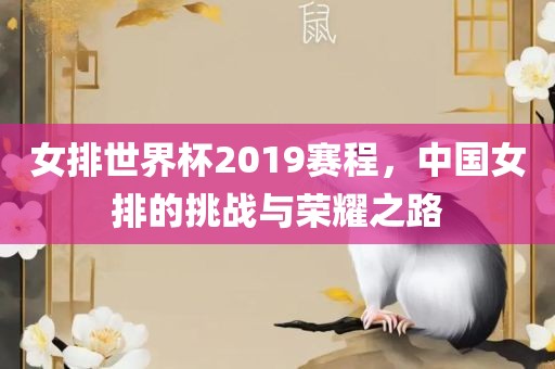 女排世界杯2019赛程，中国女排的挑战与荣耀之路