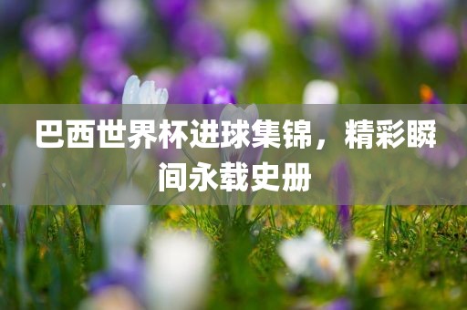 巴西世界杯进球集锦，精彩瞬间永载史册漯河市盈旭机械设备有限公司