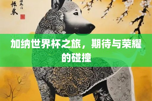 加纳世界杯之旅，期待与荣耀的碰撞