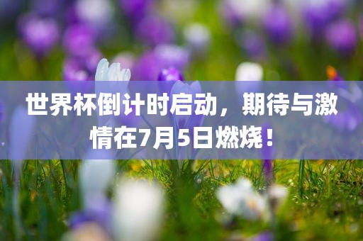 世界杯倒计时启动，期待与激情在7月5日燃烧！漯河市盈旭机械设备有限公司
