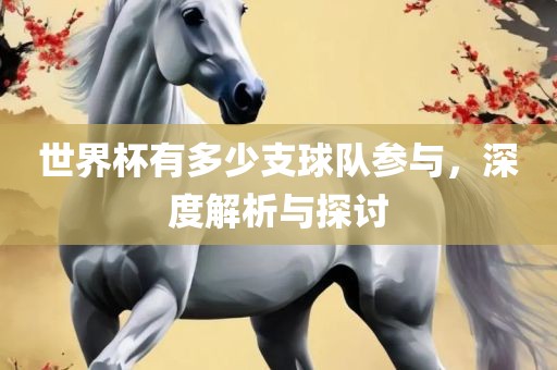 世界杯有多少支球队参与，深度解析与探讨漯河市盈旭机械设备有限公司