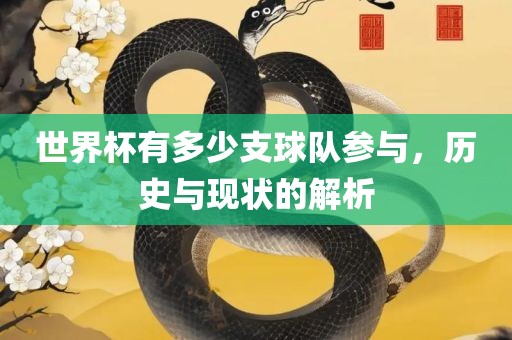 世界杯有多少支球队参与，历史与现状的解析