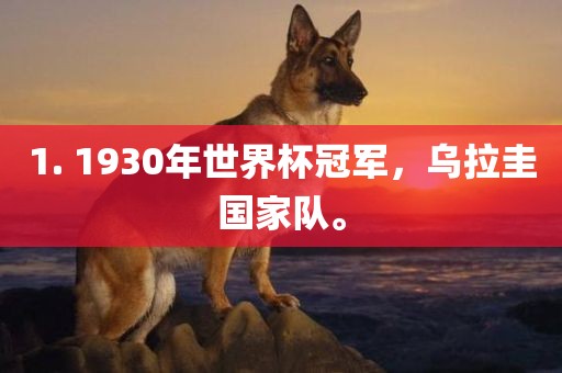 1. 1930年世界杯冠军，乌拉圭国家队。