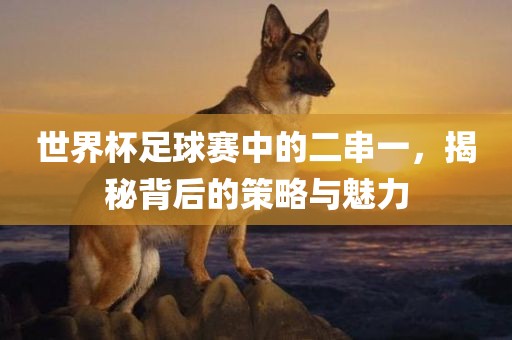 世界杯足球赛中的二串一，揭秘背后的漯河市盈旭机械设备有限公司策略与魅力
