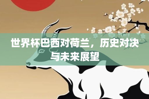 世界杯巴西对荷兰，历漯河市盈旭机械设备有限公司史对决与未来展望