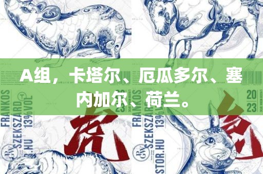 A组，卡塔尔、厄瓜多尔、塞内加尔、荷兰。漯河市盈旭机械设备有限公司