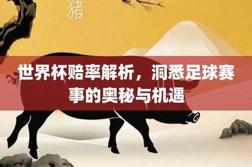 世界杯赔率解析，洞悉足球赛事的奥秘与机遇