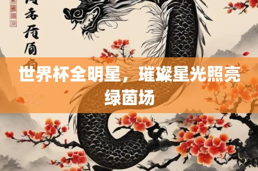 世界杯全明星，璀璨星光照亮绿茵场漯河市盈旭机械设备有限公司