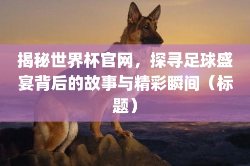 揭秘世界杯官网，探寻足球盛宴背后的故事与精彩瞬间（标题）