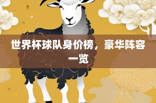 世界杯球队身价榜，豪华阵容一览漯河市盈旭机械设备有限公司