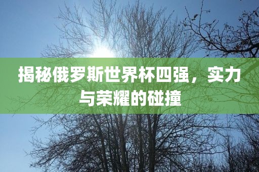 揭秘俄罗斯世界杯四强，实力与荣耀的碰撞