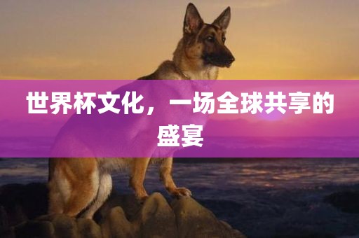 世界杯文化，一场全球共享的盛宴漯河市盈旭机械设备有限公司