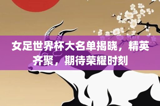 女足世界杯大名单揭晓，精英齐聚，期待荣耀时刻漯河市盈旭机械设备有限公司