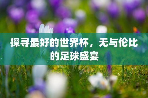 探寻最好的世界杯，无与伦比的足球盛宴漯河市盈旭机械设备有限公司