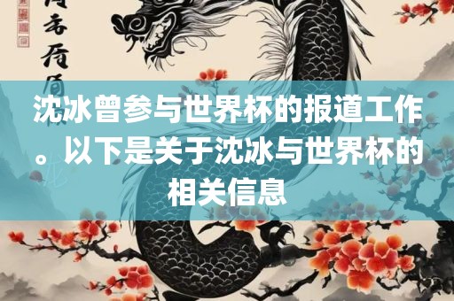 沈冰曾参与世界杯的报道工作。以下是关于沈冰与世界杯的相关信息