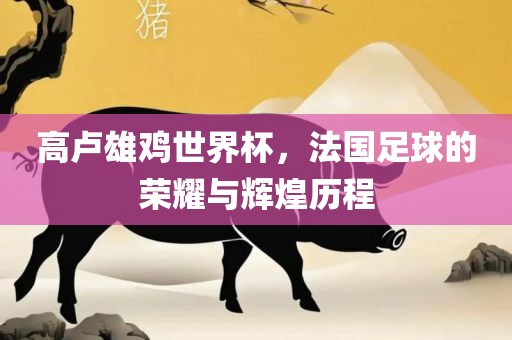 高卢雄鸡世界杯，法国足球的荣耀与辉煌历程