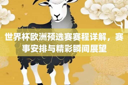 世界杯欧洲预选赛赛程详解，赛事安排与精彩瞬间展望