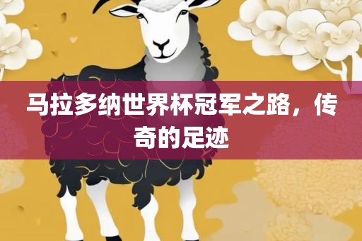 马拉多纳世界杯冠军之路，传奇的足迹漯河市盈旭机械设备有限公司