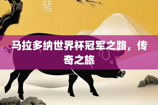 马拉多纳世界杯冠军之路，传奇之旅漯河市盈旭机械设备有限公司