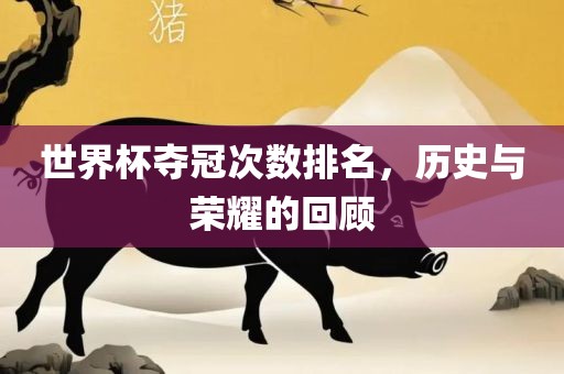 世界杯夺冠次数排名，历史与荣耀的回顾