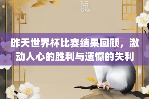 昨天世界杯比赛结果回顾，激动人心的胜利与遗憾的失利漯河市盈旭机械设备有限公司
