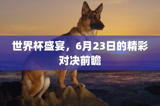 世界杯盛宴，6月23日的精彩对决前瞻漯河市盈旭机械设备有限公司