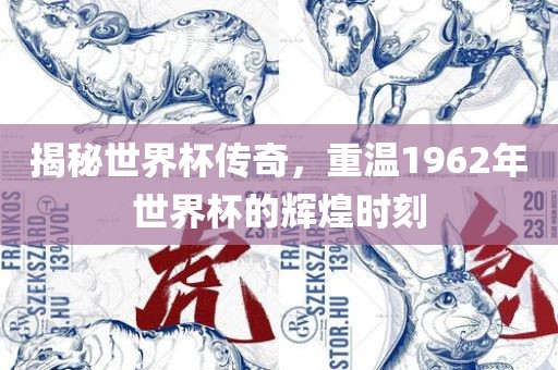 揭秘世界杯传奇，重温1962年世界漯河市盈旭机械设备有限公司杯的辉煌时刻