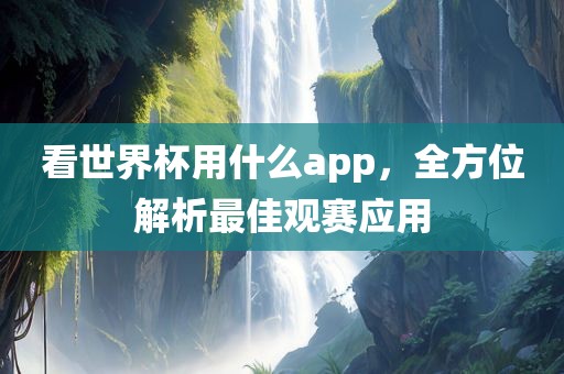 看世界杯用什么app，全方位解析最佳观赛应用漯河市盈旭机械设备有限公司