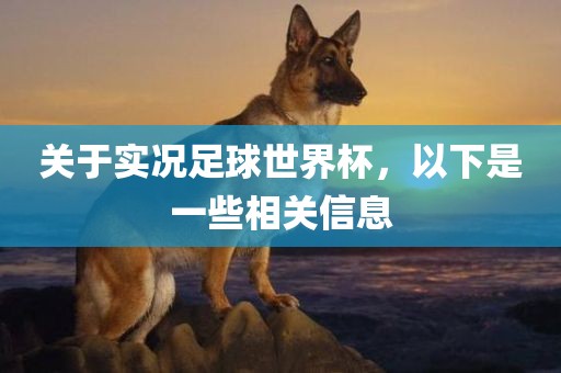 关于实况足球世界杯，以下是一些相关信漯河市盈旭机械设备有限公司息
