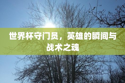 世界杯守门员，英雄的瞬间与战术之魂