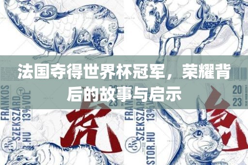 法国夺得世界杯冠军，荣耀背后的故事与启示