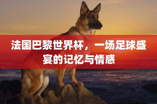 法国巴黎世界杯，一场足球盛宴的记忆与情感