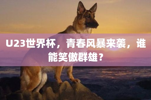 U23世界杯，青春风暴来袭，谁能笑傲群雄？