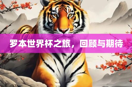 罗本世界杯之旅，回顾与期待