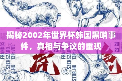 揭秘2002年世界杯韩国黑哨事件，真相与争议的重现漯河市盈旭机械设备有限公司