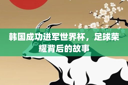 韩国成功进军世界杯，足球荣耀背后的故事漯河市盈旭机械设备有限公司