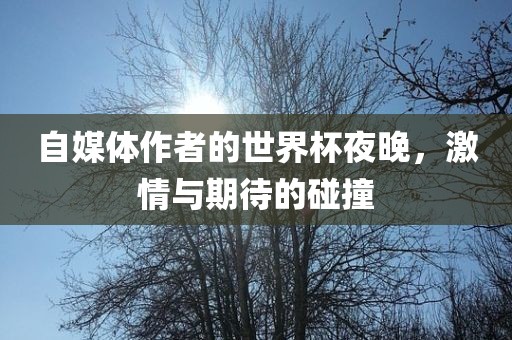 自媒体作者的世界杯夜晚，激情与期待的碰撞漯河市盈旭机械设备有限公司