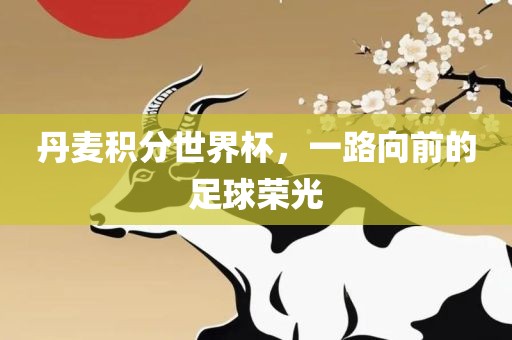 丹麦积分世界杯，一路向前的足球荣光漯河市盈旭机械设备有限公司