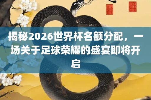 揭秘2026世界杯名额分配，一场关于足球荣耀的盛宴即将开启漯河市盈旭机械设备有限公司