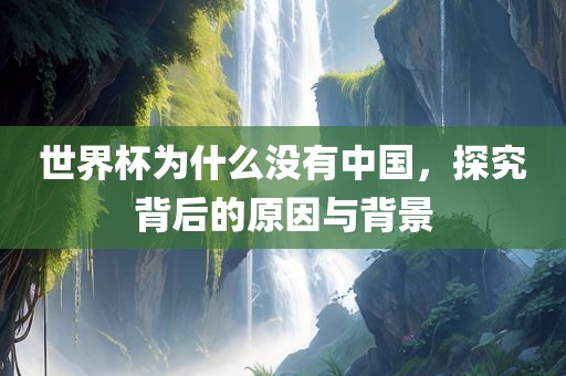 世界杯为什么没有中国，探究背后的原因与背景漯河市盈旭机械设备有限公司