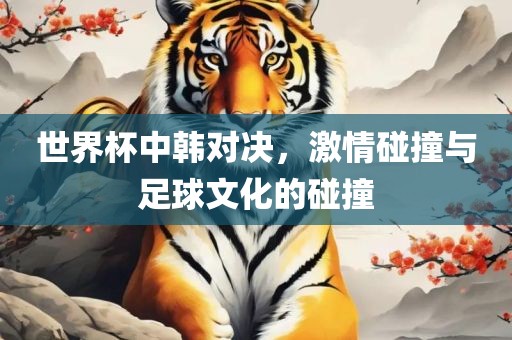 世界杯中韩对决，激情碰撞与足球文化的碰撞