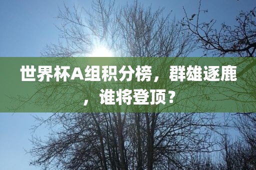 世界杯A组积分榜，群雄逐鹿，谁将登顶？漯河市盈旭机械设备有限公司