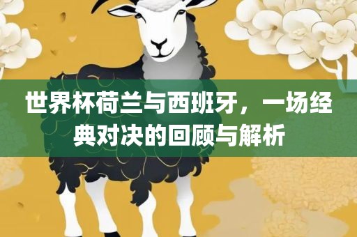 世界杯荷兰与西班牙，一场经典对决的回顾与解析